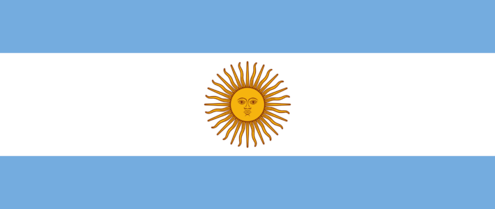 Argentine Panel Election Study (APES)