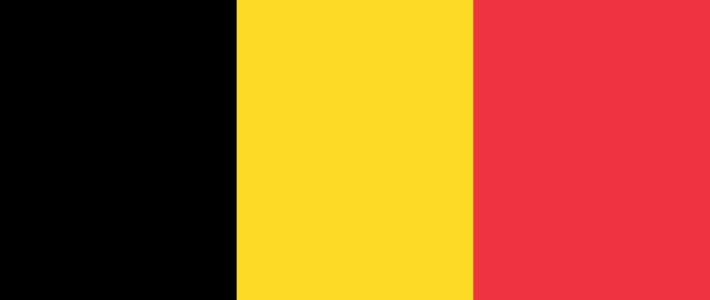 Belgian election studies (RepResent)