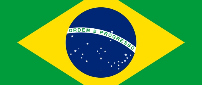 Brazilian Electoral Studies (BES)