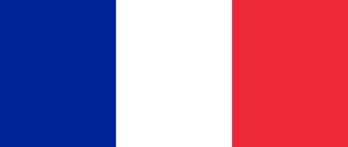 French National Election Study (FES)