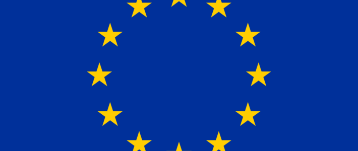European Election Study (EES)