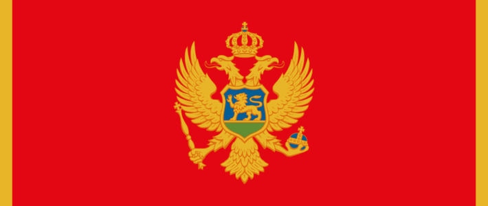 Montenegrin national election study (MNES)