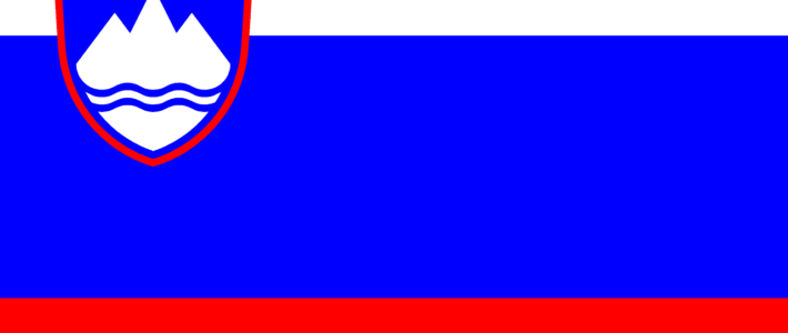 Slovenian National Election Study